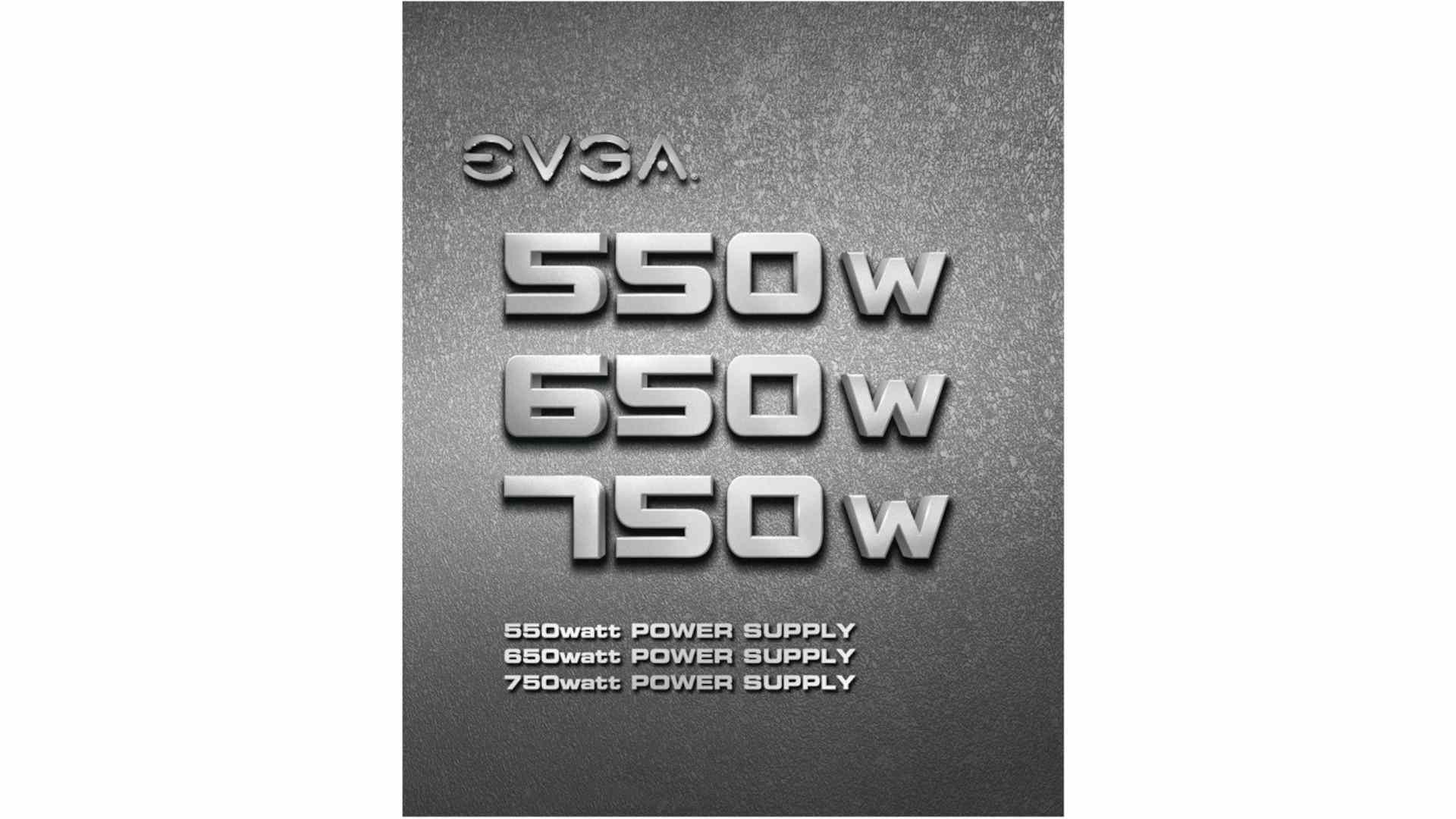 EVGA 100 N1 0650 L1 Power Supply 5